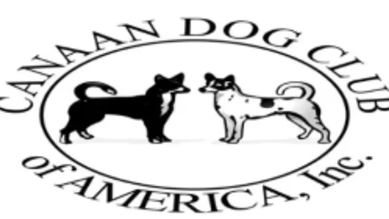 Canaan Dog Club Of America- Judges Ed